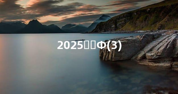 2025그̫Ф(3)