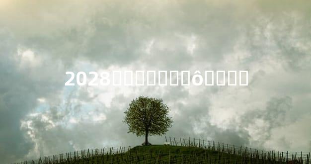 2028�그̫����ô����