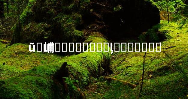 ũ�峬����Ҫע��ļ�������