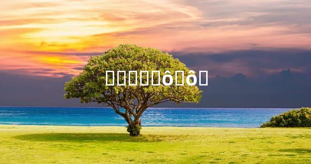 ̤ͥҪעʲôҪô˷