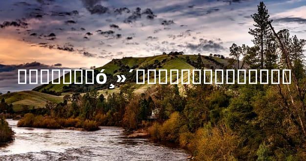 ͯ�����˴󸻴��ͯ�����Ǵ�����