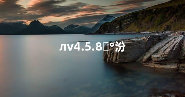 лv4.5.8ȫ°汾