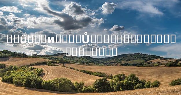 ��û���и��Ե�Ů������ͷ����Է���������