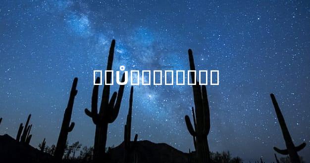 ��Ů֮������ദ