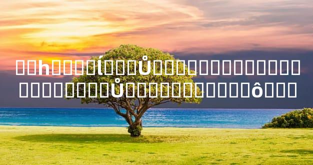 ��һ�޶��ĺ���Ů���������������������Ů����������ʲô��˼