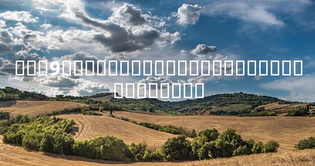 ��֤9��ѡ�����˳���ܶ��˶��ھ���������⡣