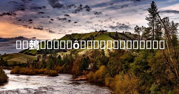 ��鵱����ʲô�������˱�����