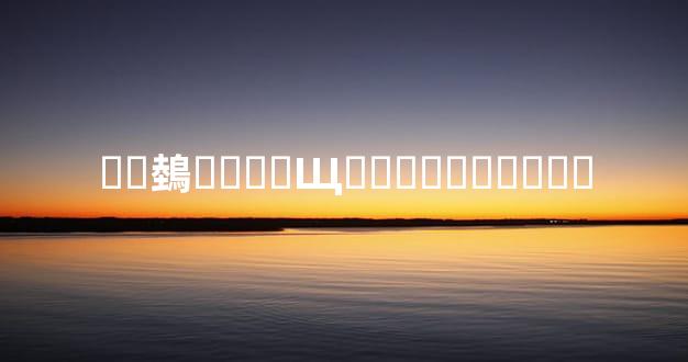 ��鵱����Щ��ɺܶ��˲���