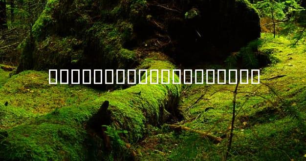 ���˭��ǰ��������Ǹ���