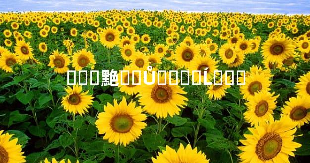 ���䵥��Ů����Ĺ���