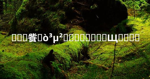 ���飺�򳵲���ѡ����Щ����