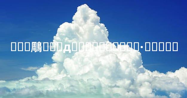 ���鵰��Ҫдɶ���ף����˼·��