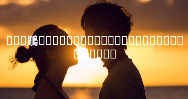 ���鵰��������������Ԣ��ܶ���