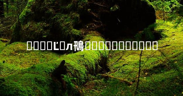 ����Ľ�л鳵���������շ�