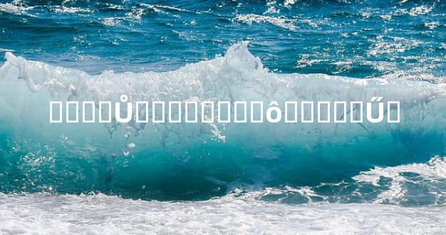 ����Ů�������ʲô�����Ű�