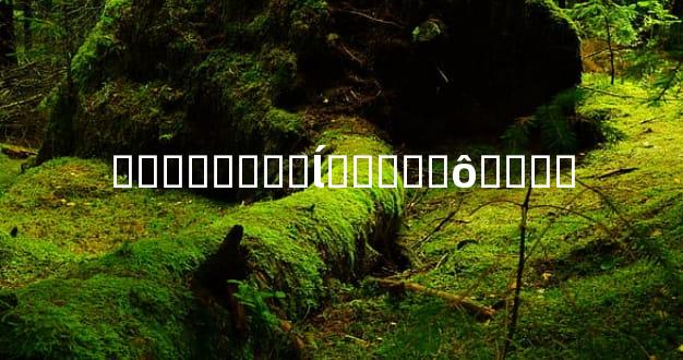 ����˵���ĺ�����ô����