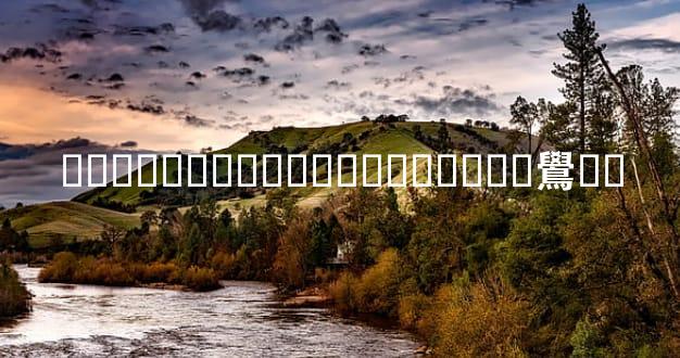 ����ͯ�������������ٲ鷽��