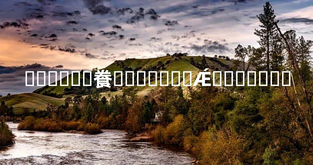 ����Ӥ�飬�������Ǽ�������