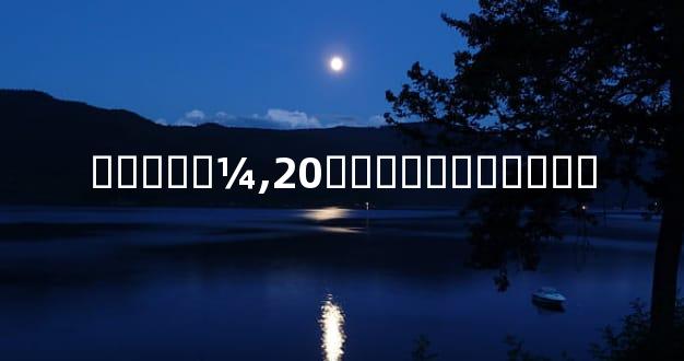 �����¼,20�ݿ���������