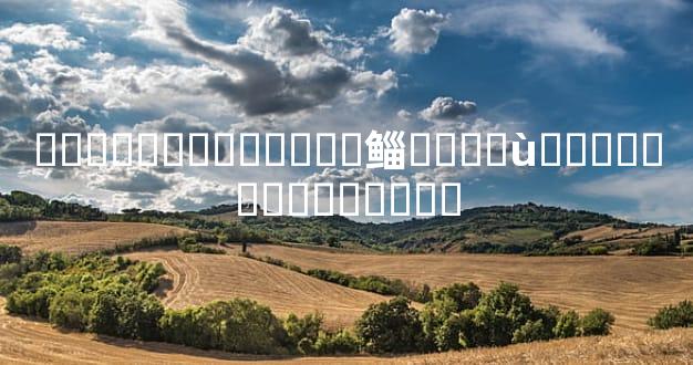 ������̥����Ӥ�鲻Ҫ�ȵ�ù�˼������������