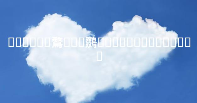 ������鶩���鵽���ȸ������