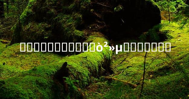 ���������Ǯ�򲻵�������