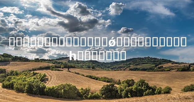 ����������ߣ�Ǯ�ǿ�����޸���