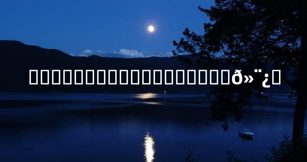 �����������ϰ׳����Ϲ𻨿�