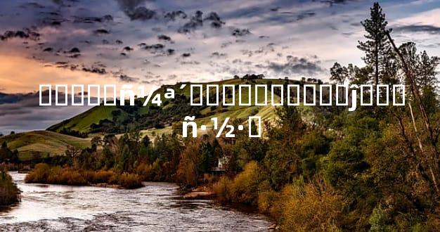 �����񼪴�ϼ�ʵ����ʡ�ĵ�ѡ��