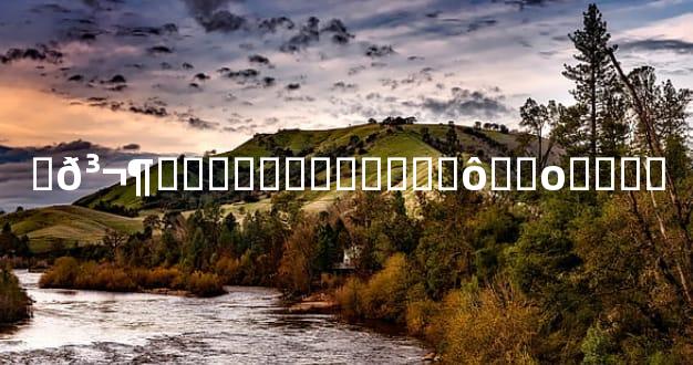 �𳬶Ⱦ˾ˣ��˾˲�����ô��ο����