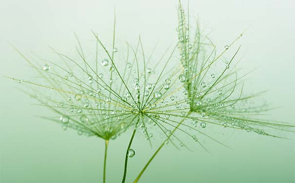 ФţĿ˷ˮ 6㿪 ӴԺ