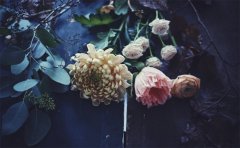 侲ظ飬㣡ʰİ