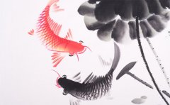 ˿ԸҪ˷һҪ