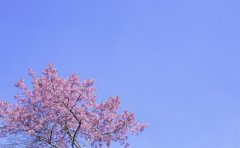 ϱǿеİ취ӷ