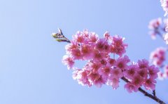 նһʲôЧ һնһ˷Ǯ