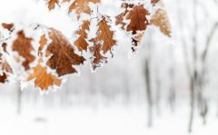 ���������������ô���� Ů����������һ��