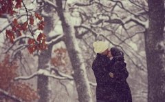 ���������ѳ�����ԭ���� �˽����ԭ�����ı���