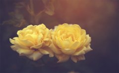 ˵ҷһ ʲôӰô