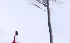 ������˵������ô���� ������������