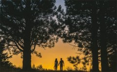 <b>��ǰ���Ѹ��ϳɹ�����һ�ж��Ǻͺ����Ĺ���</b>