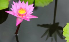 <b>������һ�����ĵ����� �����Ժͺ�����</b>