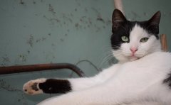 ����ͺ����μ�ǰ���� ��ʲô����Ԣ����