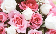 Ů���������������Ч�Ļ� �����ͨ��ԭ��