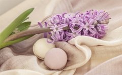 �����ڵ�����صİ�ʾ �㿴��������