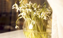 ��Ů��������ѵİ��� �˽�ʲô�Ǵ�������