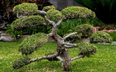 ���ֺ�������������������ң�Լ������������׷��