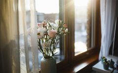 �����������յ������� ��������嵥ֵ�ÿ���