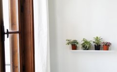 ���ֺ������� ������4���������Ҫ