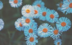 ������Ѿ������ݸ���Ӱ��� Ҫ���ñ��־���