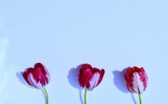 �����������ܷ���� ���ÿ������˵�Ե��